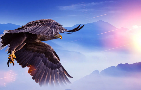 600x383(2).jpg 600x383(2).jpg
